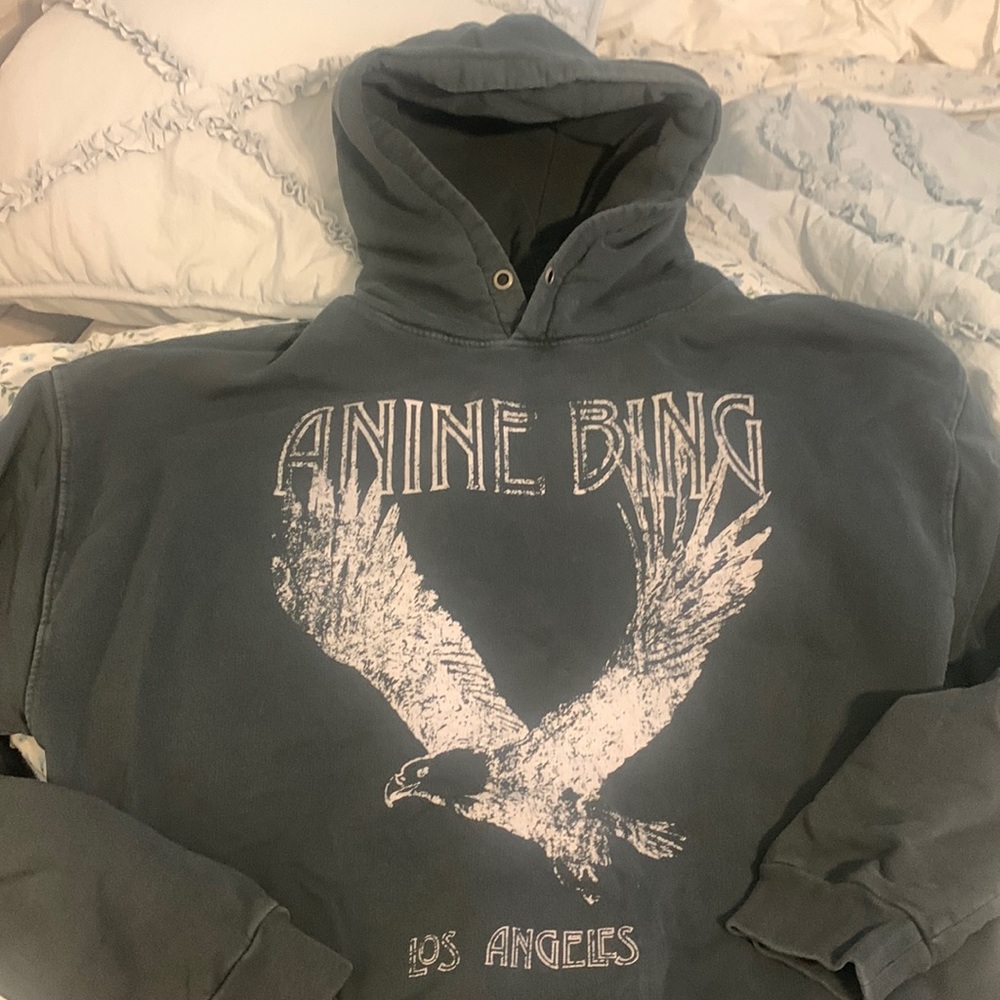 Anine Bing hooded sweatshirt, great condition worn twice.